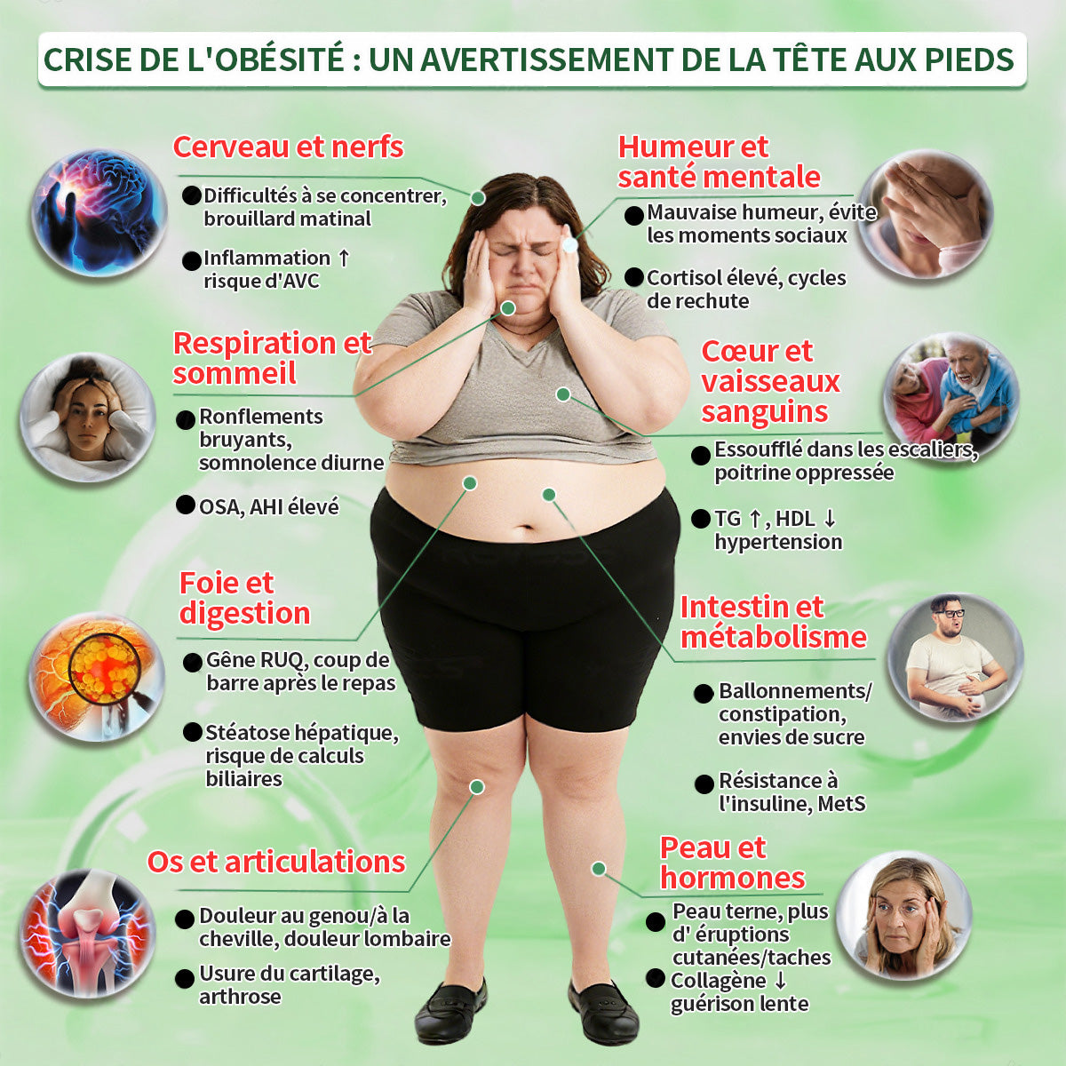 Magasin Officiel |  Healrize® Moringa & Bérbérine 10-en-1 Patch Nanomicro-aiguilles Avancé👩‍⚕️ (Une application quotidienne, résultats visibles en 7 jours)🌼 Obésité, Diabète, Apnée du sommeil, Problèmes articulaires