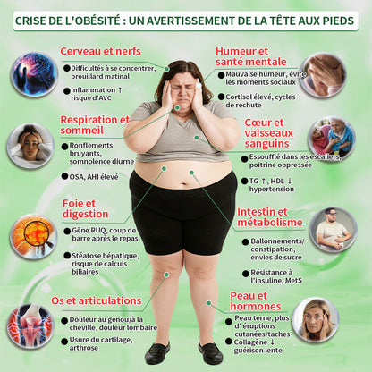 Magasin Officiel |  Healrize® Moringa & Bérbérine 10-en-1 Patch Nanomicro-aiguilles Avancé👩‍⚕️ (Une application quotidienne, résultats visibles en 7 jours)🌼 Obésité, Diabète, Apnée du sommeil, Problèmes articulaires