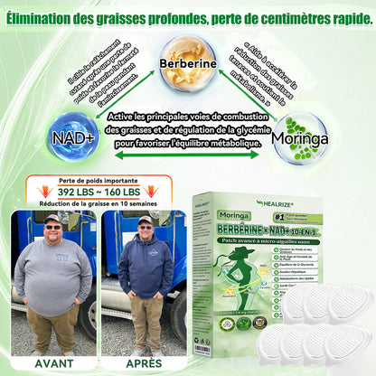 Magasin Officiel |  Healrize® Moringa & Bérbérine 10-en-1 Patch Nanomicro-aiguilles Avancé👩‍⚕️ (Une application quotidienne, résultats visibles en 7 jours)🌼 Obésité, Diabète, Apnée du sommeil, Problèmes articulaires