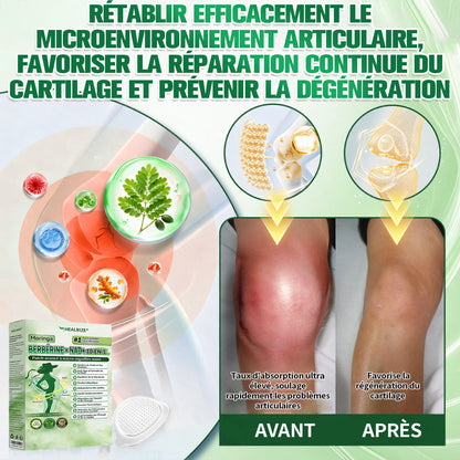 Magasin Officiel |  Healrize® Moringa & Bérbérine 10-en-1 Patch Nanomicro-aiguilles Avancé👩‍⚕️ (Une application quotidienne, résultats visibles en 7 jours)🌼 Obésité, Diabète, Apnée du sommeil, Problèmes articulaires